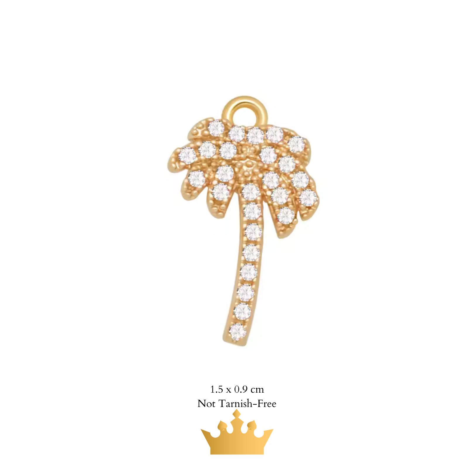 Charm Anklet